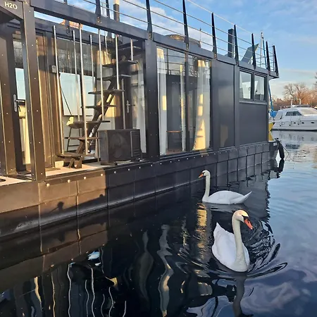 Floating Experience Black Pearl, Maggiore *