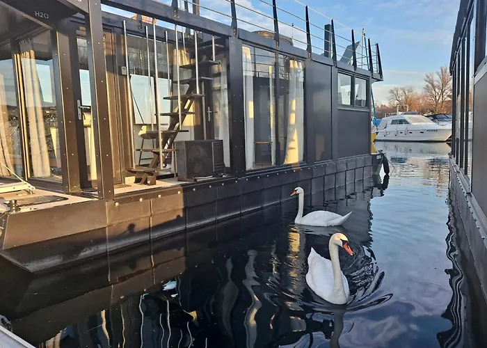 Floating Experience Black Pearl, Maggiore *